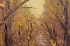 The Path
