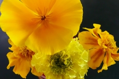 Arrangement